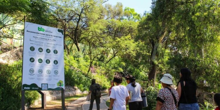 El Parque de la Biodiversidad invita a una “Noche de Misterio” entre mitos y leyendas cordobesas El Parque de la Biodiversidad será escenario de una “Noche de Misterio” con recorridos nocturnos y relatos de mitos y leyendas cordobesas, en el marco de las actividades gratuitas de verano impulsadas por el municipio.