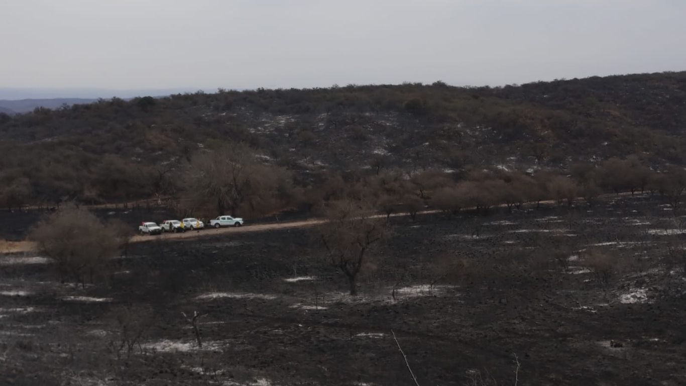 Incendios, monte nativo y decisiones clave: qué puede hacer Córdoba para no repetir el desastre