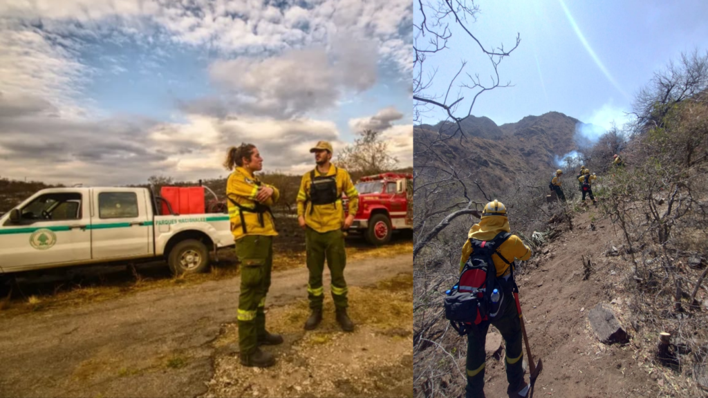 Incendios, monte nativo y decisiones clave: qué puede hacer Córdoba para no repetir el desastre