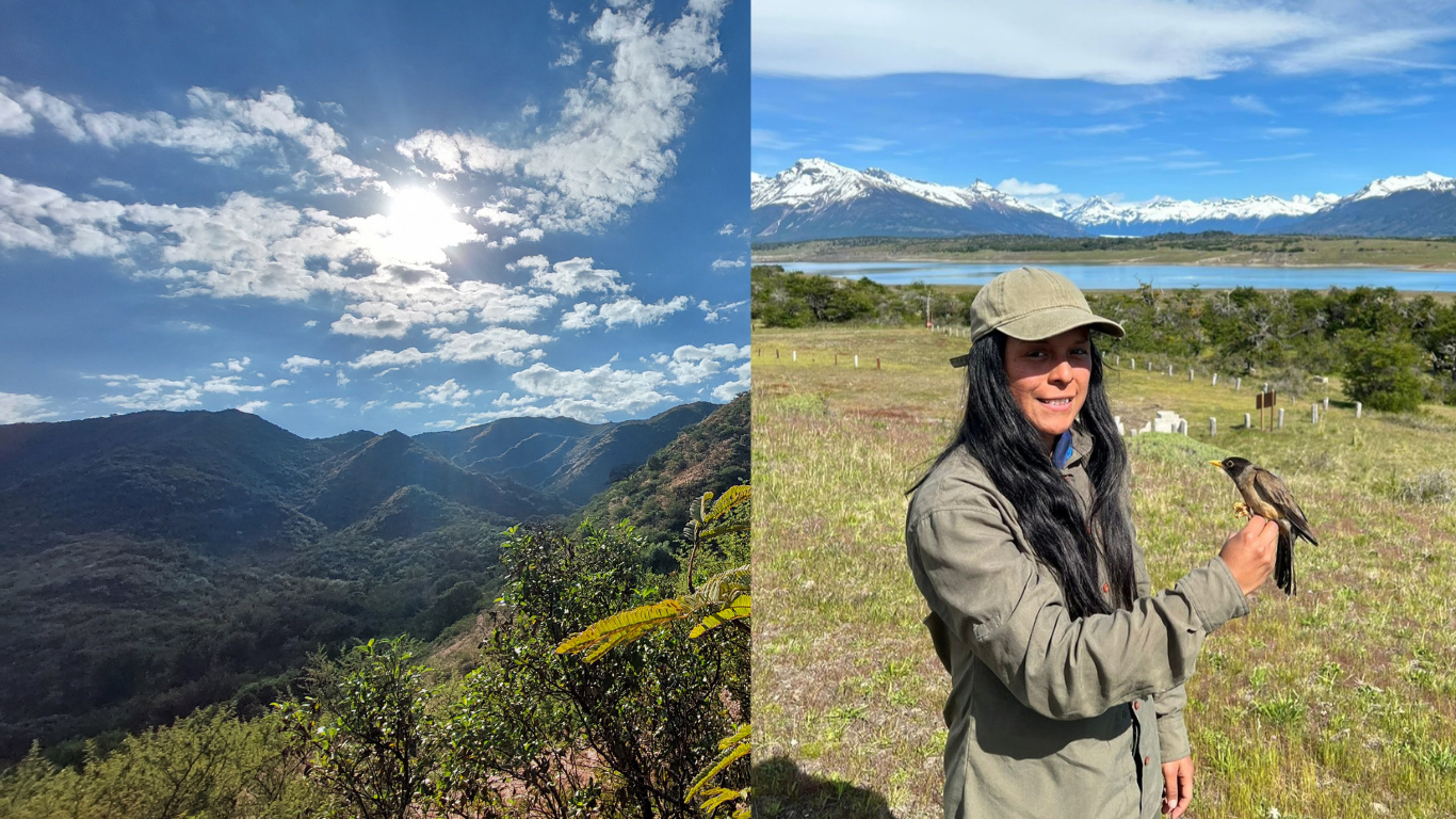 Incendios, monte nativo y decisiones clave qué puede hacer Córdoba para no repetir el desastre 