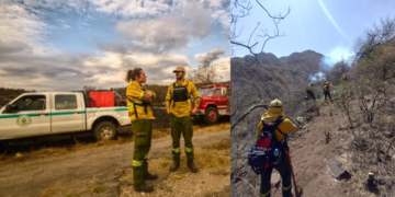 Incendios, monte nativo y decisiones clave: qué puede hacer Córdoba para no repetir el desastre