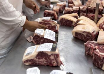 La carga será transportada por Air Europa con destino final en Lisboa.