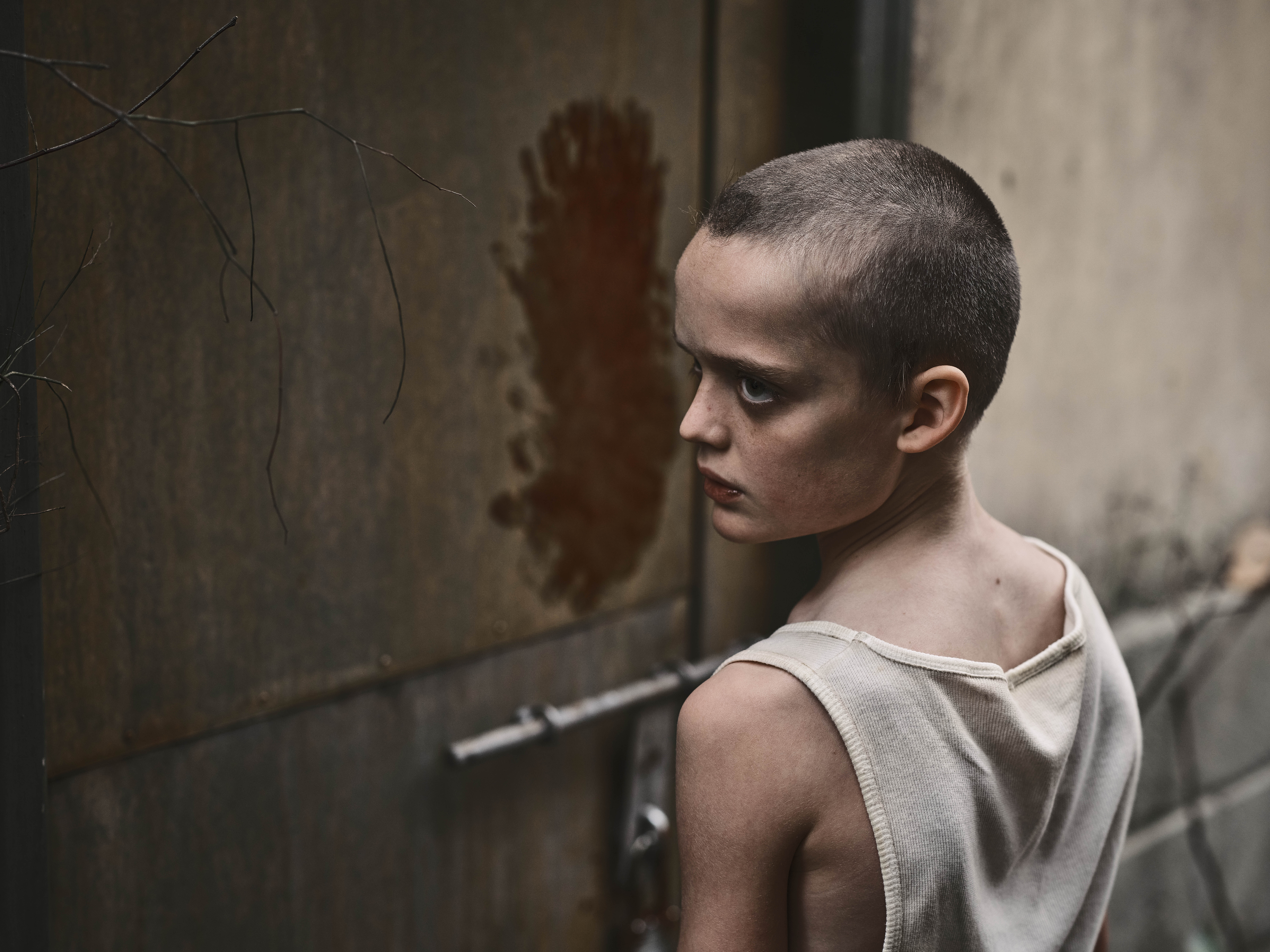 Las 10 mejores películas del 2025 y dónde verlas