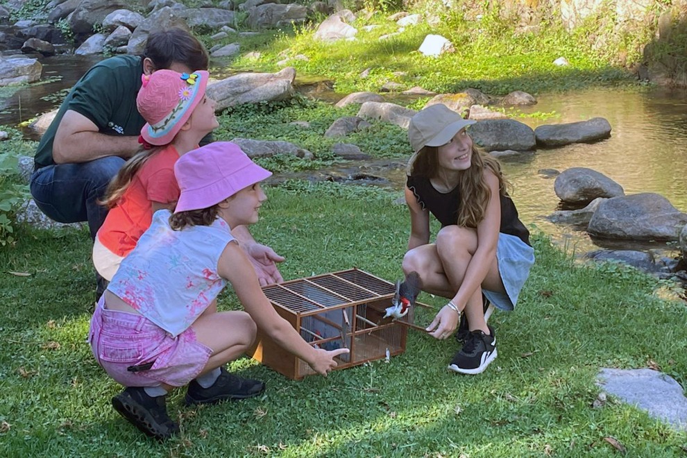 Los especímenes fueron cuidados y rehabilitados en el Centro de Rescate de Fauna Silvestre del Parque de la Biodiversidad.