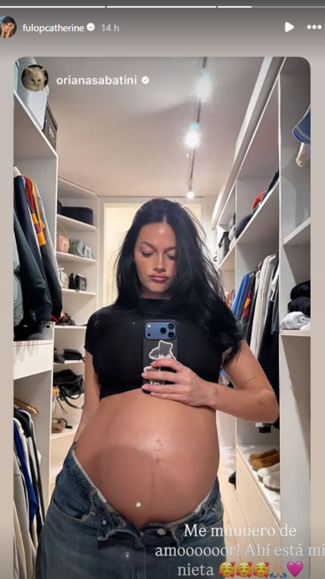 Catherine Fulop reaccionó a la imagen de su hija y la compartió en sus redes sociales con un mensaje de emoción por la llegada de su nieta.