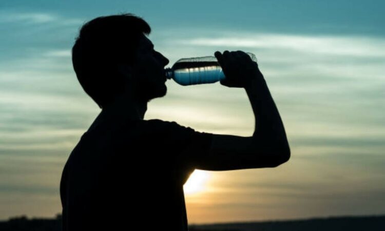 Recomendaciones para evitar un golpe de calor La hidratación permanente es imprescindible para transitar estos períodos.