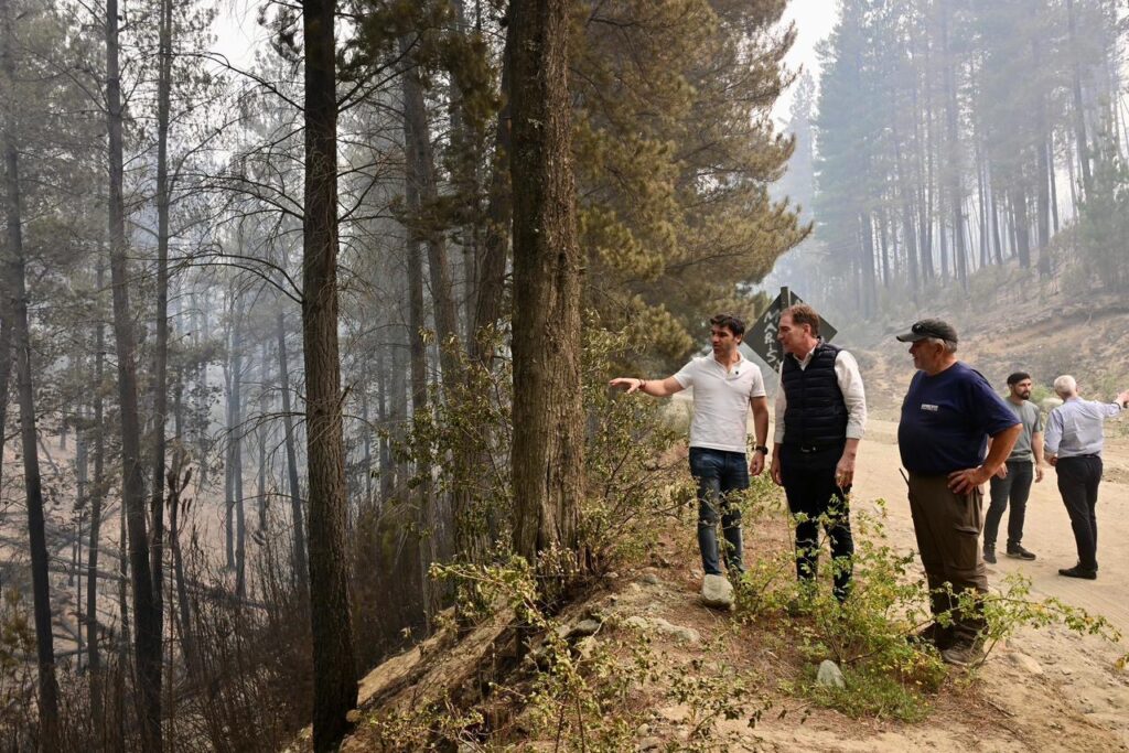 Entre incendios y reformas: la hoja de ruta de Santilli para sumar adhesiones al proyecto oficialista Entre incendios y reformas: la hoja de ruta de Santilli para sumar adhesiones al proyecto oficialista