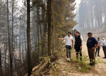 Entre incendios y reformas: la hoja de ruta de Santilli para sumar adhesiones al proyecto oficialista