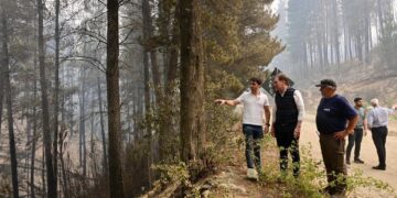 Entre incendios y reformas: la hoja de ruta de Santilli para sumar adhesiones al proyecto oficialista