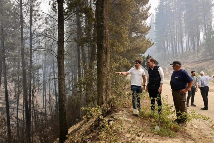 Luego de supervisar los operativos en Chubut junto a Ignacio Torres,Diego Santilli desembarca en el norte y Cuyo.