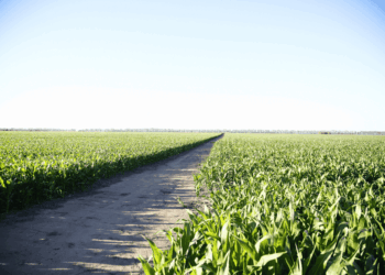 Surge de la firma entre el Ministerio de Bioagroindustria y la Asociación de Aseguradoras del Interior de la República Argentina (ADIRA).