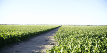 Surge de la firma entre el Ministerio de Bioagroindustria y la Asociación de Aseguradoras del Interior de la República Argentina (ADIRA).