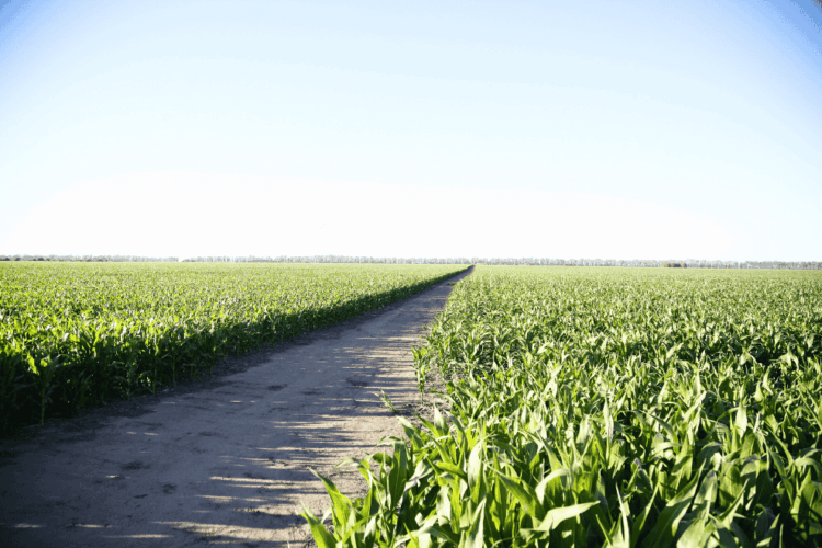 La Provincia implementa el Seguro Multirriesgo Agrícola: cómo inscribirse Surge de la firma entre el Ministerio de Bioagroindustria y la Asociación de Aseguradoras del Interior de la República Argentina (ADIRA).