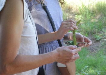 Una vez transcurrida la primera caminata, el mismo sitio quedará habilitado para la segunda fecha.