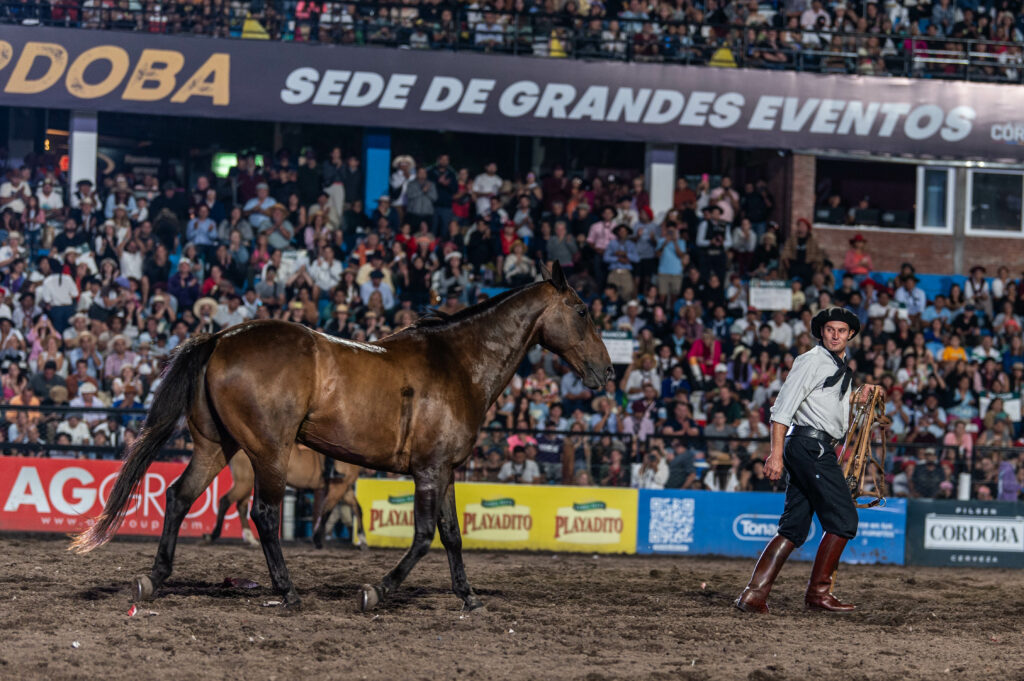 Jairo, Damián Córdoba y Natalia Pastorutti abrirán el Festival de Jesús María Jairo, Damián Córdoba y Natalia Pastorutti abrirán el Festival de Jesús María