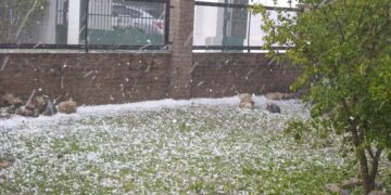 Borrador automático