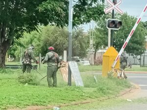 Las vías del abandono y el vacío legal que llena de malezas a Córdoba