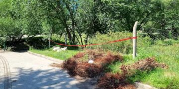 Detuvieron a un hombre por el violento ataque a Tania