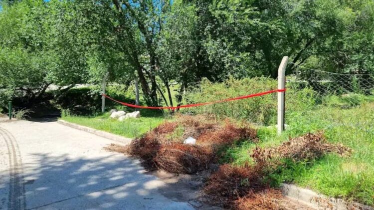 Descampado en el que encontraron a Tania el martes.