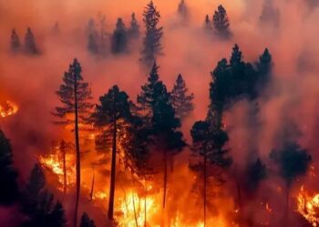 Tras las críticas, Milei analiza sumar la Ley de Emergencia Ígnea a extraordinarias