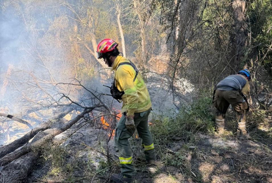 Los trabajos se desarrollan bajo la coordinación del Comando Unificado, que organiza los recursos terrestres y aéreos.