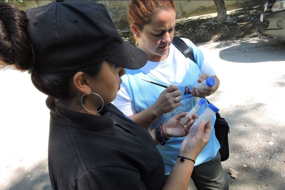 Detectan alto riesgo de transmisión en el monitoreo aédico