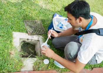 Detectan alto riesgo de transmisión en el monitoreo aédico