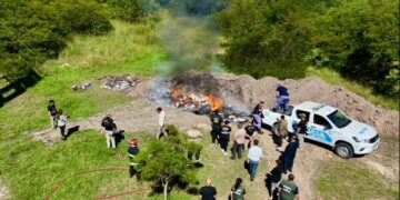 Procesan a policías acusados de intentar robar cocaína en una quema oficial Procesan a policías acusados de intentar robar cocaína en una quema oficial