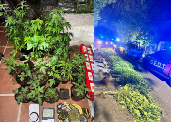 El procedimiento se realizó en una vivienda del barrio Parque Vélez Sarsfield tras un llamado por la activación de una alarma.