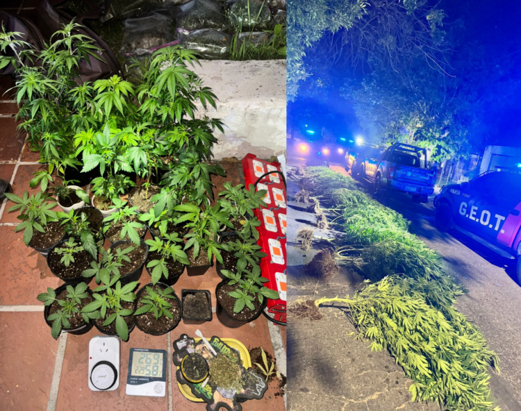 El procedimiento se realizó en una vivienda del barrio Parque Vélez Sarsfield tras un llamado por la activación de una alarma.