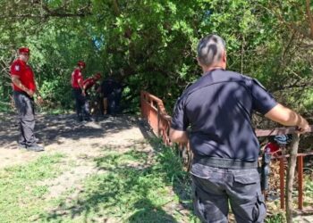 El acusado de matar a Camila Merlo dijo que es “un perejil”