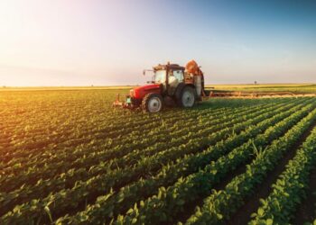 La economía argentina creció 4,4% en 2025, impulsada por un salto en el agro