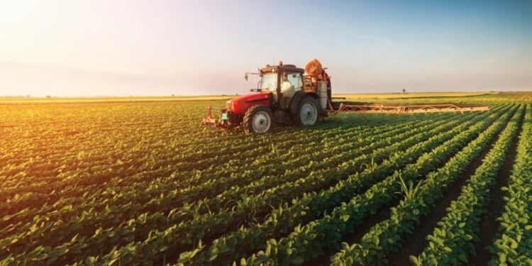 El agro fue uno de los motores que impulsaornla economía Argentina en 2025.