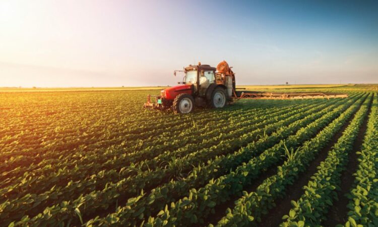 La economía argentina creció 4,4% en 2025, impulsada por un salto en el agro El agro fue uno de los motores que impulsaornla economía Argentina en 2025.