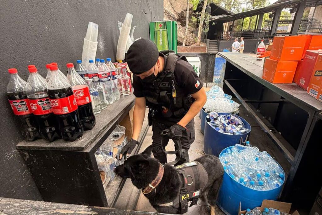 Desarticularon dos fiestas clandestinas Desarticularon dos fiestas clandestinas