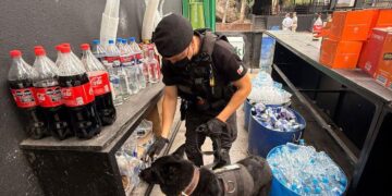 Desarticularon dos fiestas clandestinas Desarticularon dos fiestas clandestinas