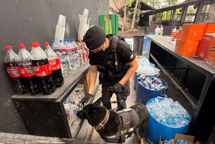 Desarticularon dos fiestas clandestinas Incautaron drogas en una fiesta electrónica en La Calera.