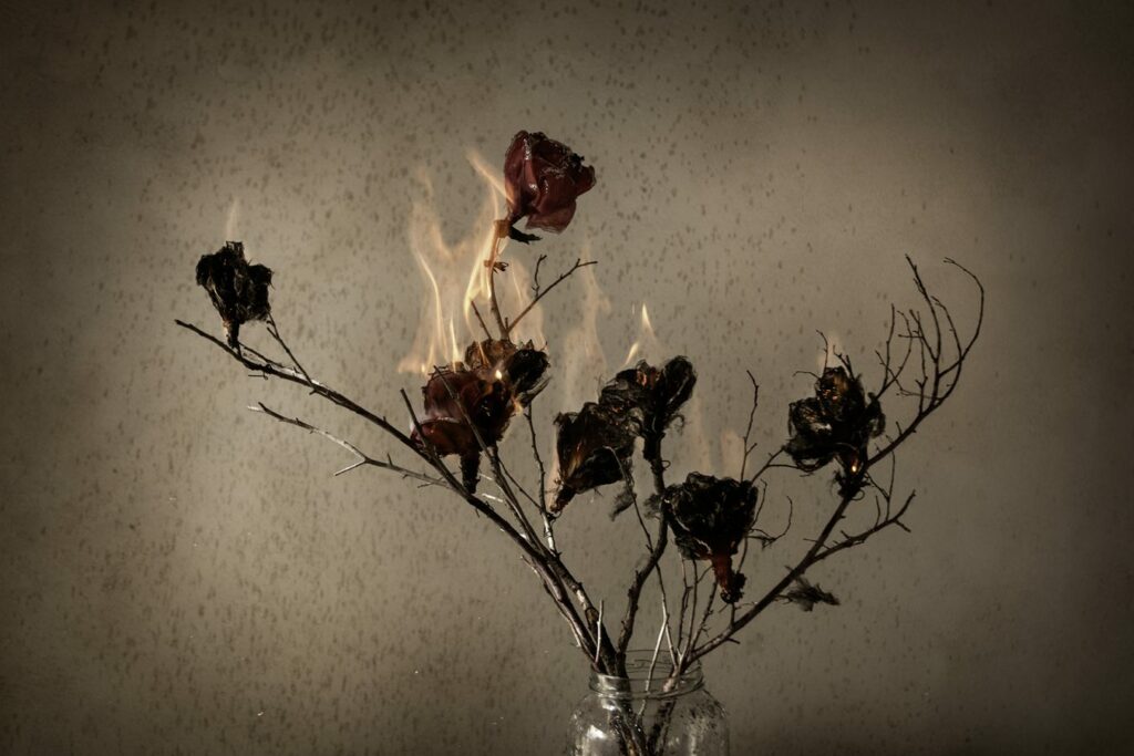 “El incendio de las flores”: una poética del fuego en el Buen Pastor