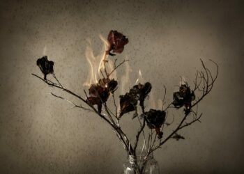 “El incendio de las flores”: una poética del fuego en el Buen Pastor