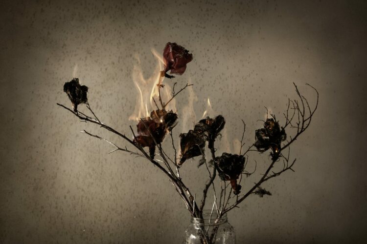 La propuesta visual de Candelaria Magliano.