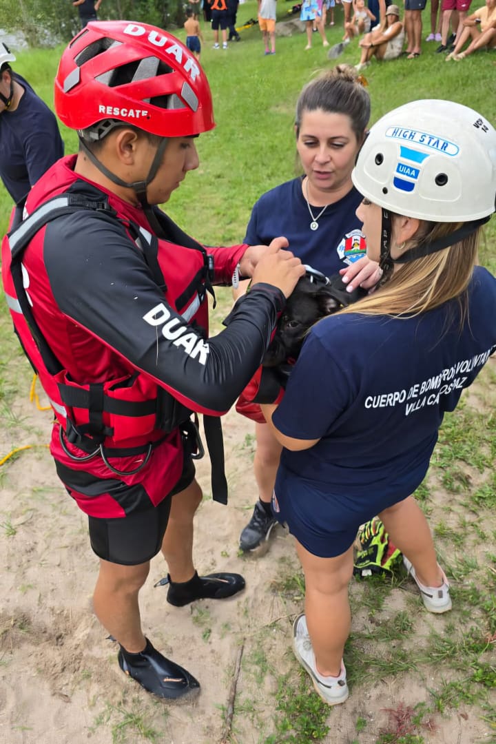 El perro fue extraído en buen estado tras un operativo conjunto en el río.
