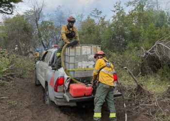 Parte el cuarto contingente de brigadistas cordobeses