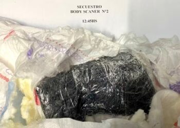 Intentaron ingresar droga a la cárcel oculta dentro de un pañal