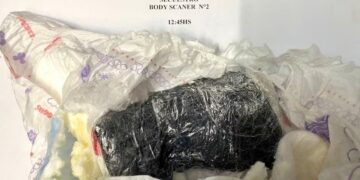 Intentaron ingresar droga a la cárcel oculta dentro de un pañal Intentaron ingresar droga a la cárcel oculta dentro de un pañal