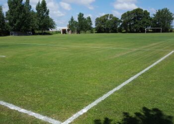 La muerte reciente sucedió en un predio de zona sur de la capital.