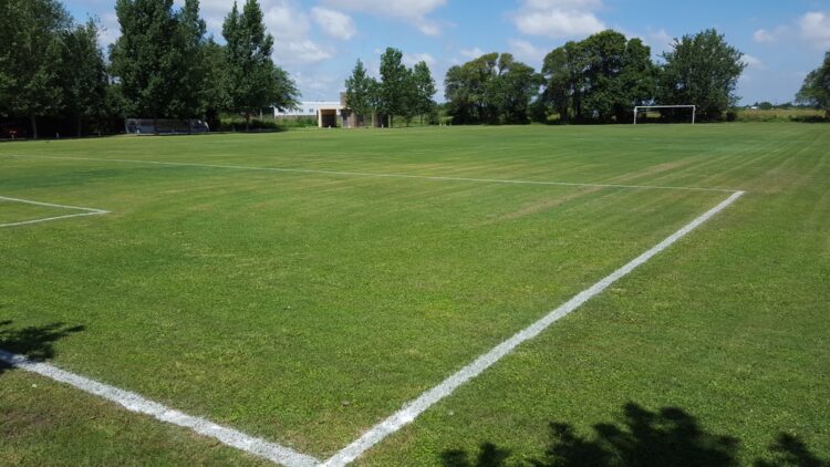 La muerte reciente sucedió en un predio de zona sur de la capital.