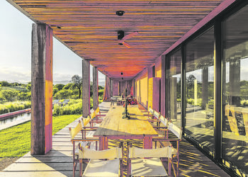 Madera, diseño y conciencia