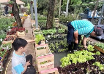 187 estudiantes con discapacidad realizaron pasantías en Córdoba en el 2025