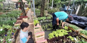 187 estudiantes con discapacidad realizaron pasantías en Córdoba en el 2025