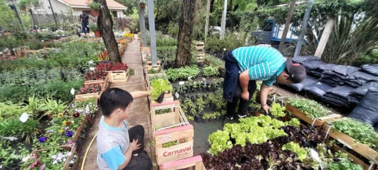El Sistema Integral de Pasantías permitió que 187 estudiantes con discapacidad accedieran a experiencias laborales reales y certificadas, fortaleciendo su formación y proyección laboral.